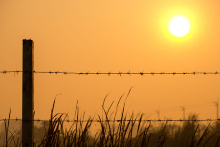 fence of barbed wire with sunsetの写真素材