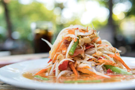 Thai papaya salad or Som Tum from Thailandの写真素材