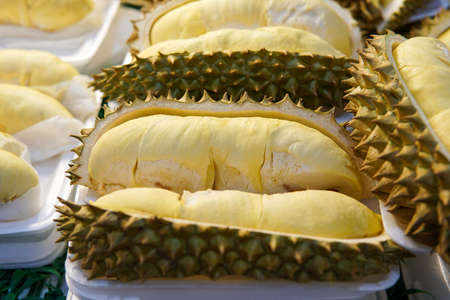 durian fruit in foam trayの写真素材