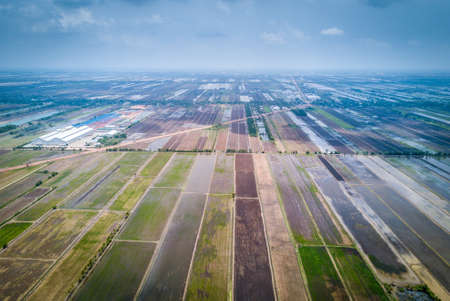Aerial view of rice field in Thailandの写真素材