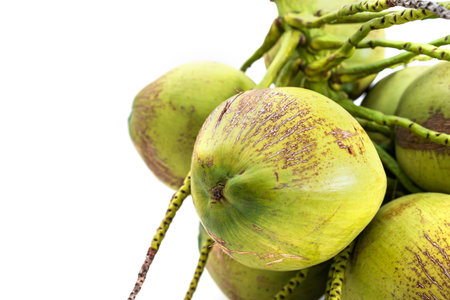 Fresh coconut bunch on white background