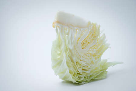 sliced cabbage on white backgroundの写真素材