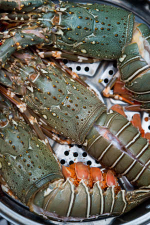 raw lobster in the iron steamerの写真素材