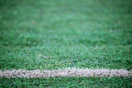 Football field with white lineの写真素材