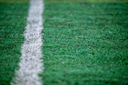 Football field with white lineの写真素材