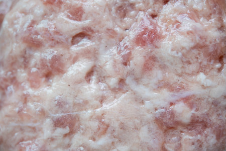 Raw ground pork close upの写真素材