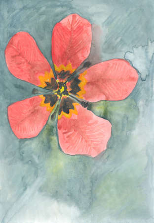 A watercolor painting of a red tulip flower on watercolor texture background の写真素材