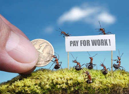 ants demanding payment for work with billの写真素材