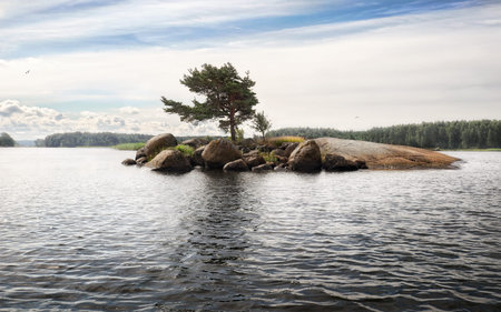 Pine tree grows in rock of small island with stones and boulders. Dramatically SOS shaped. Clean...