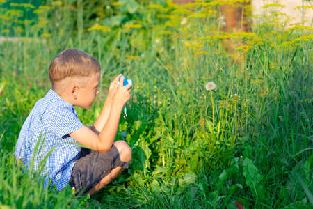 A cute preschool boy with a neat hairstyle in a blue shirt takes pictures of green plants on a hot summer day. Selective focus. Portraitの写真素材
