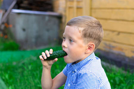 Six year old happy boy eating fresh fragrant green cucumber in the village outdoors on a background of green grass. Selective focus. Portraitの写真素材