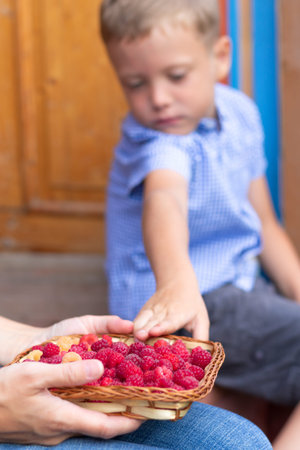 A six-year-old contented boy eats fresh fragrant raspberries in the village outdoors on the doorstep...