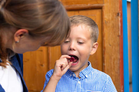 A six-year-old boy with his mother is eating fresh fragrant raspberries in the village outdoors on the porch of the house. Selective focus. Portraitの写真素材