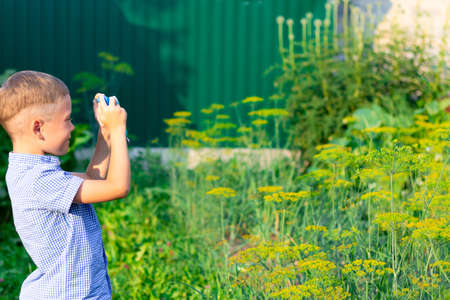 A cute preschool boy with a neat hairstyle in a blue shirt takes pictures of green plants on a hot summer day. Selective focus. Portraitの写真素材