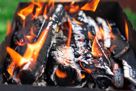 Metal brazier with burning wood and coals in nature on a bright summer sunny day. Bonfire with red...