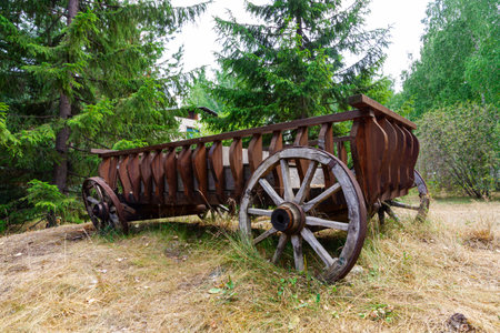 An old wooden broken cart with wheels stands in nature in the village on a summer sunny day. The...