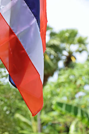 national Thai flag , there is three a color , The blue , whiteness , The red , there is five the strip  zone  , a Thai likes to decorate with flags in front a houseの写真素材