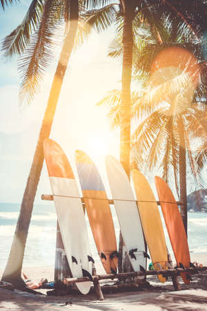 Many surfboards beside coconut trees at summer beach with sun light and blue sky background.の写真素材