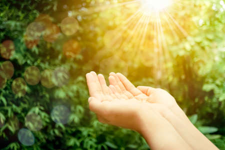 Woman hands place together like praying in front of nature green  background.の写真素材