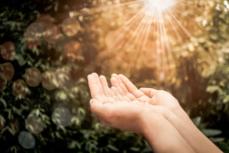 Woman hands place together like praying in front of nature green  background.の写真素材