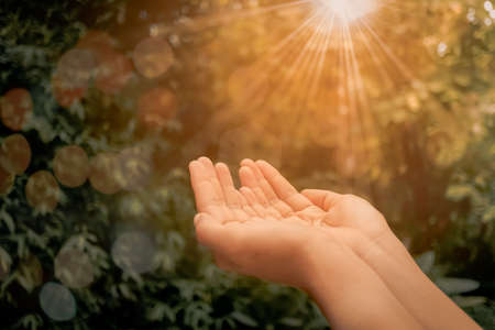 Woman hands place together like praying in front of nature green  background.の写真素材