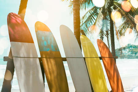 Many surfboards beside coconut trees at summer beach with sun light and blue sky background.の写真素材