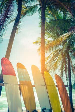 Many surfboards beside coconut trees at summer beach with sun light and blue sky background.の写真素材