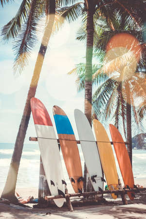 Many surfboards beside coconut trees at summer beach with sun light and blue sky background.の写真素材