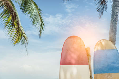 Many surfboards beside coconut trees at summer beach with sun light and blue sky background.の写真素材