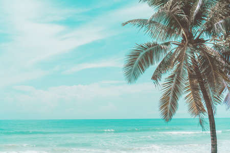 Vintage color tone tropical palm leaf at summer beach with bokeh blue sky and sun light background.の写真素材