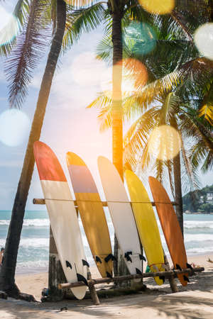 Many surfboards beside coconut trees at summer beach with sun light and blue sky background.の写真素材