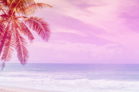Colorful tone  vintage tropical palm leaf at summer beach with bokeh blue sky and sun light background.の写真素材