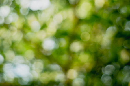 Green nature sunlight colorful bokeh abstract background .Vintage pastel color tone style.の写真素材