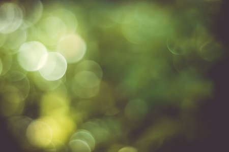Green nature sunlight colorful bokeh abstract background .Vintage pastel color tone style.の写真素材