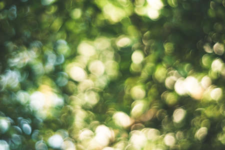 Green nature sunlight colorful bokeh abstract background .Vintage pastel color tone style.の写真素材
