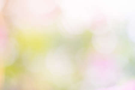 Green nature sunlight colorful bokeh abstract background .Vintage pastel color tone style.の写真素材