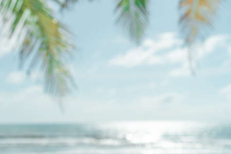 Tropical palm leaf at summer beach with bokeh blue sky and sun light background.の写真素材