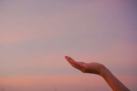 Woman hands place together like praying in front of nature green  background.の写真素材