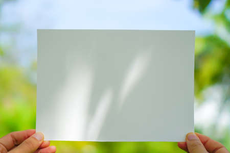 Copy space of white paper on nature background. Use for put text on blank space.の写真素材