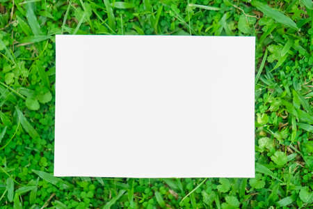 Copy space of white paper on nature background. Use for put text on blank space.の写真素材