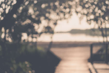 Blur nature green bokeh with small bridge in mangrove forest background.の写真素材