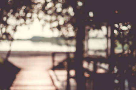 Blur nature green bokeh with small bridge in mangrove forest background.の写真素材