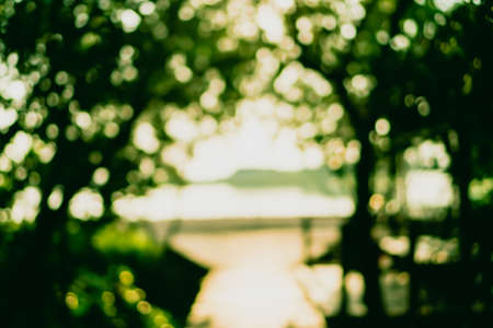 Blur nature green bokeh with small bridge in mangrove forest background.の写真素材