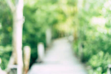 Man is walking on small wood bridge to nature walk way with sunlight flare background.の写真素材