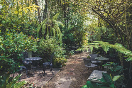 Tropical English garden style for home interior decoration green natural background.の写真素材