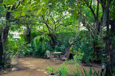 Tropical English garden style for home interior decoration green natural background.の写真素材