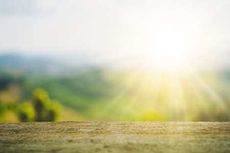 Selective focus of empty old wood on blur nature green leaf with bokeh abstract background.の写真素材