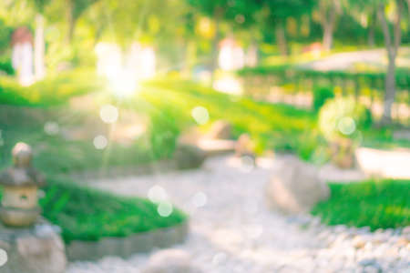 Blur nature bokeh green park by beach and tropical coconut trees in sunset time.の写真素材