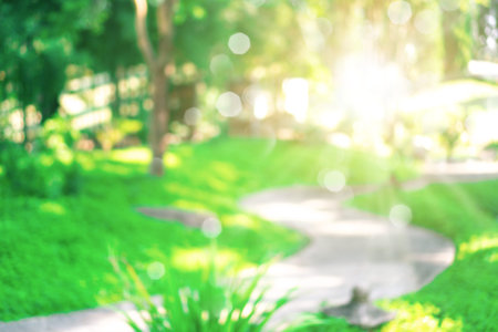 Blur nature bokeh green park by beach and tropical coconut trees in sunset time.