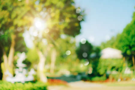 Blur nature bokeh green park by beach and tropical coconut trees in sunset time.の写真素材